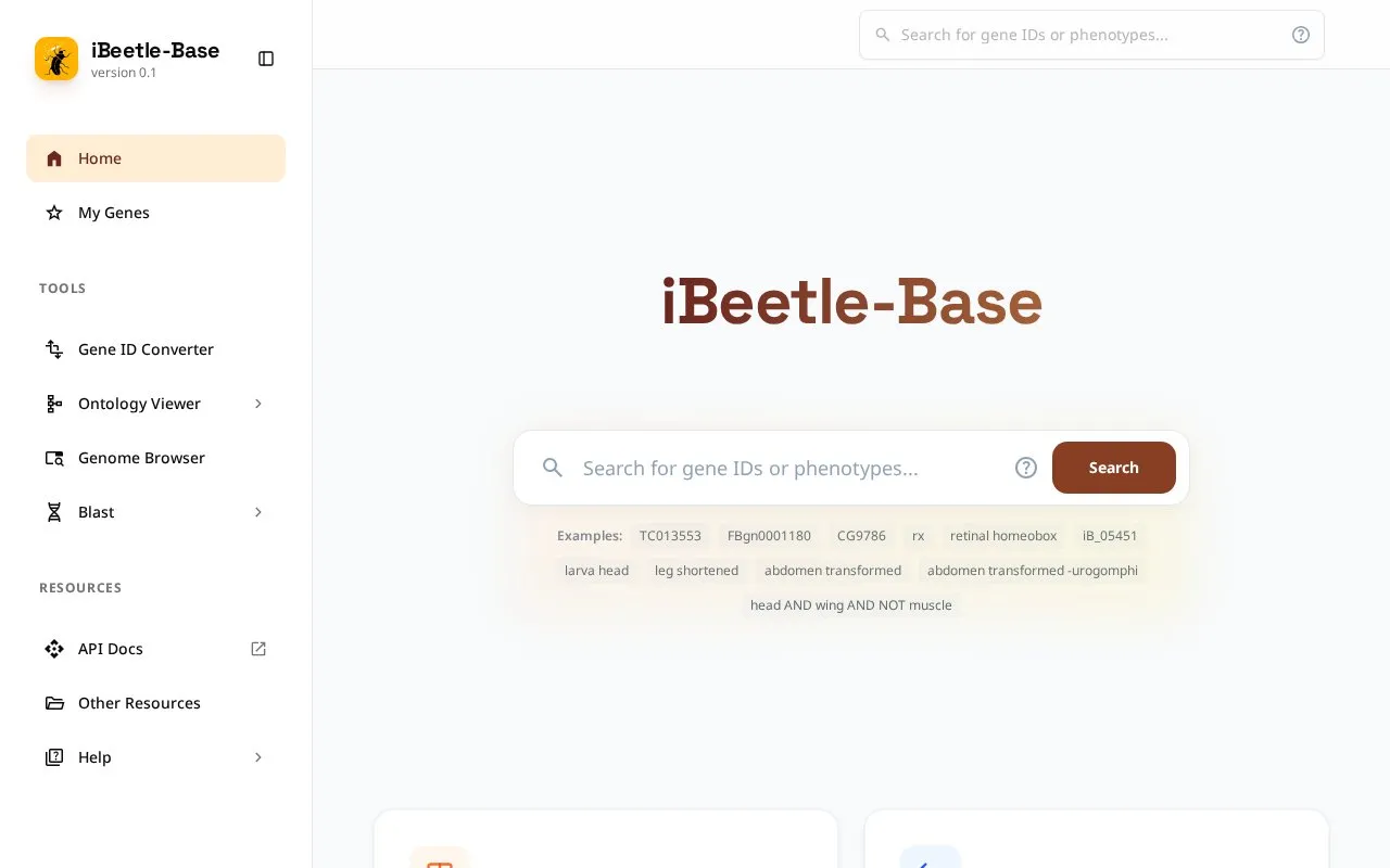 ibeetle homepage screenshot