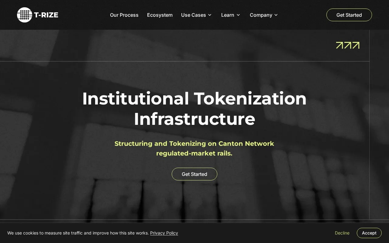 T RIZE homepage screenshot