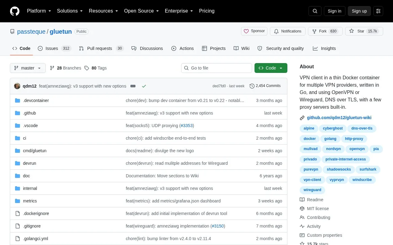 Gluetun homepage screenshot