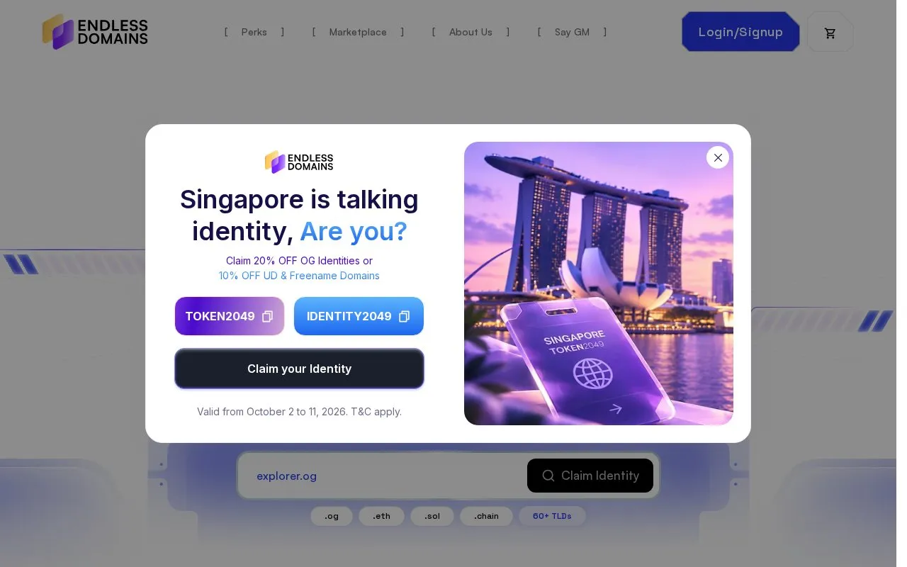 Endless Domains homepage screenshot