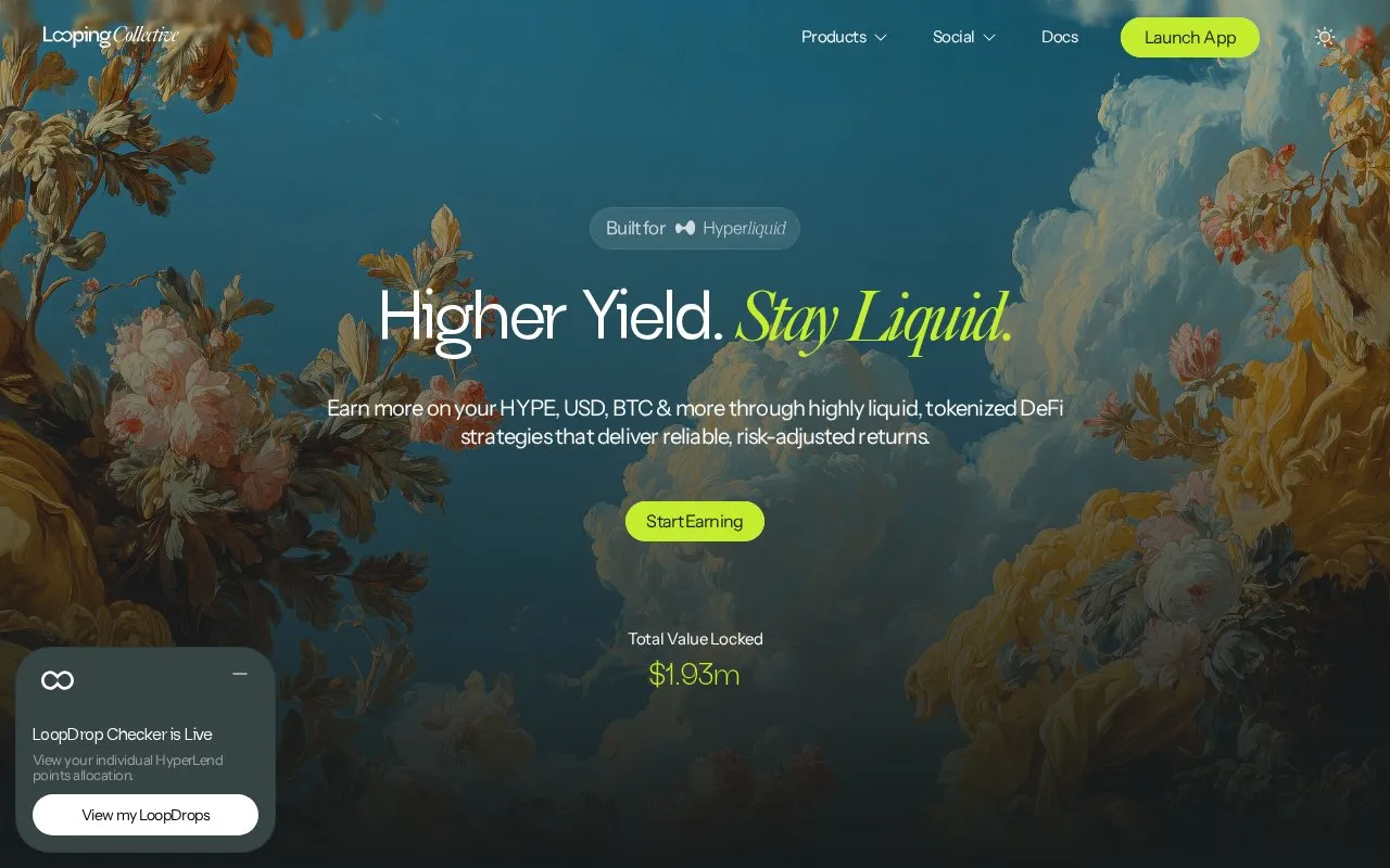 Looped Hype homepage screenshot