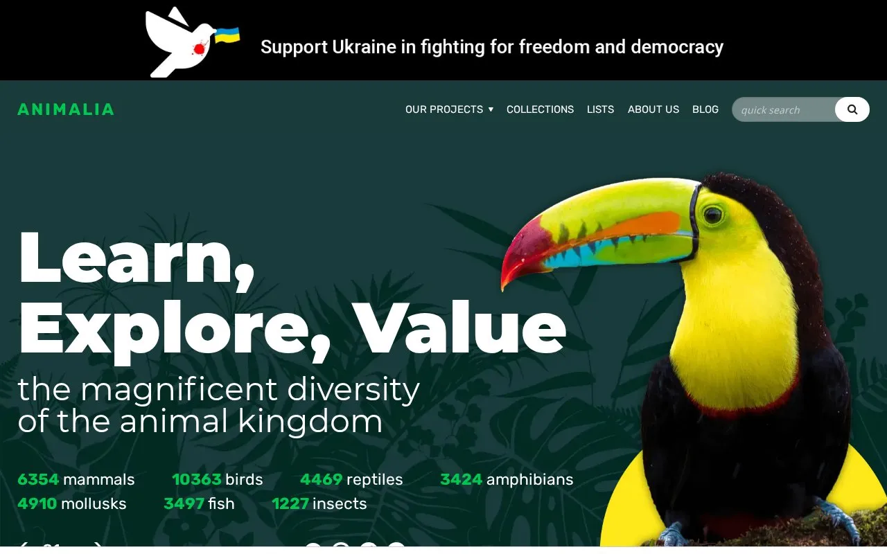Animalia homepage screenshot