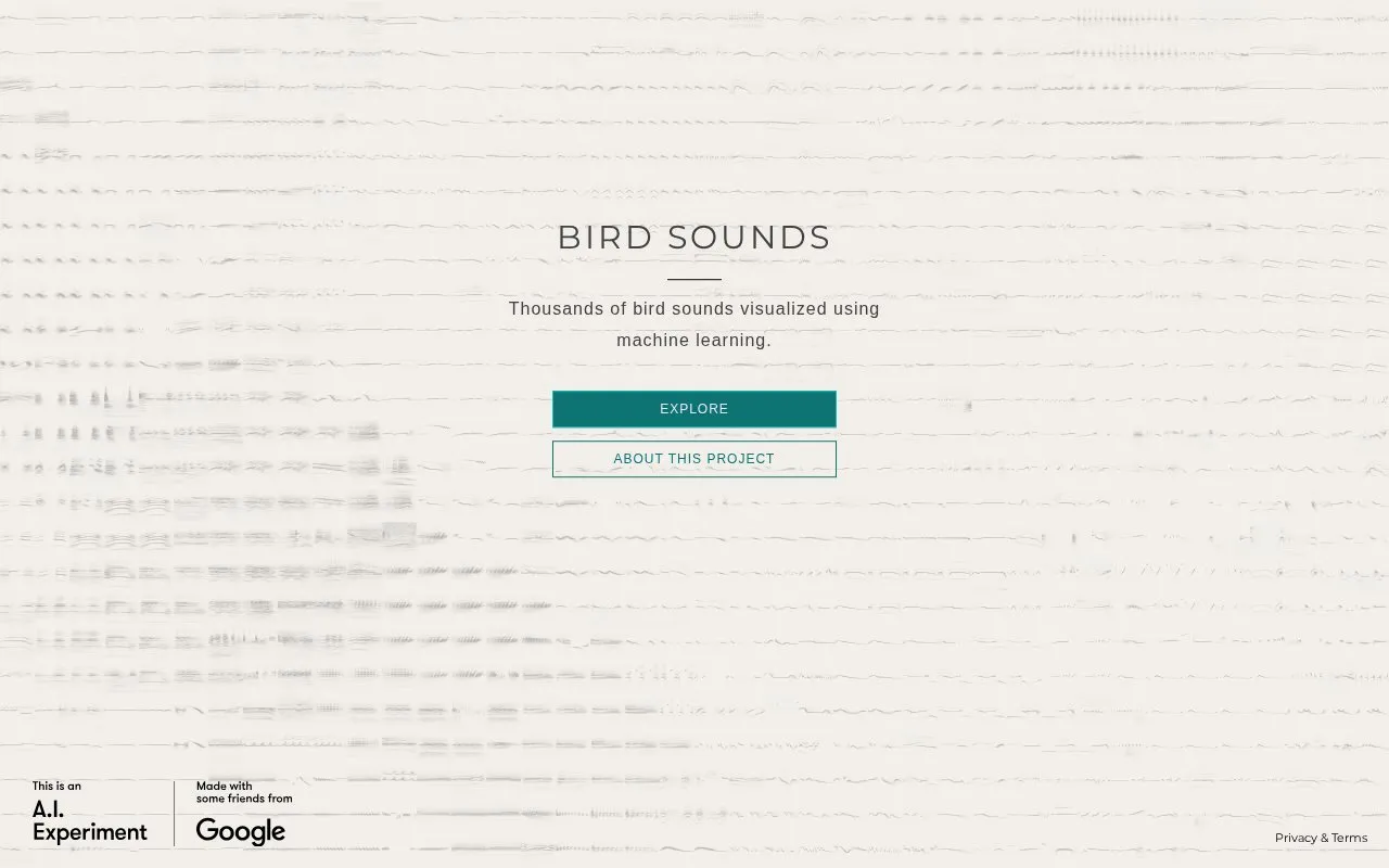 BirdSounds homepage screenshot
