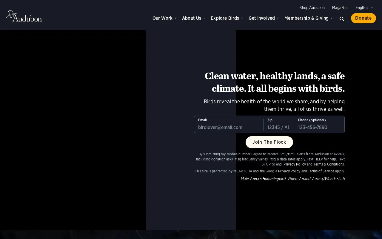 Audubon homepage screenshot