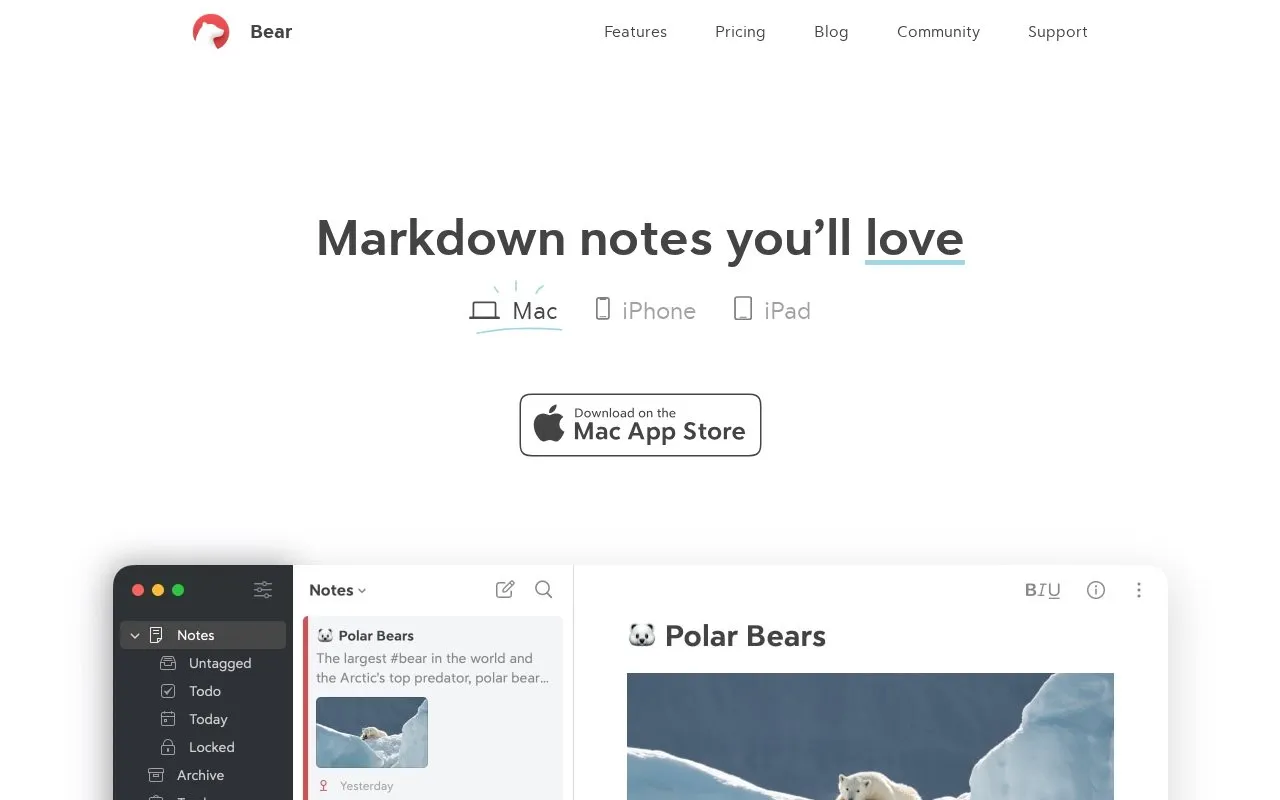 Bear homepage screenshot