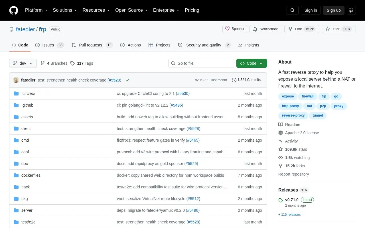 frp homepage screenshot