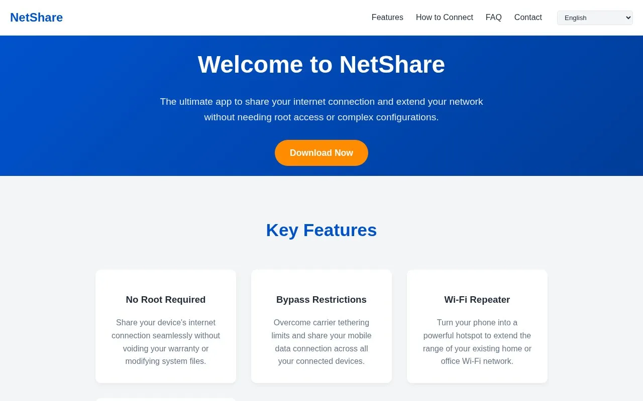 NetShare homepage screenshot