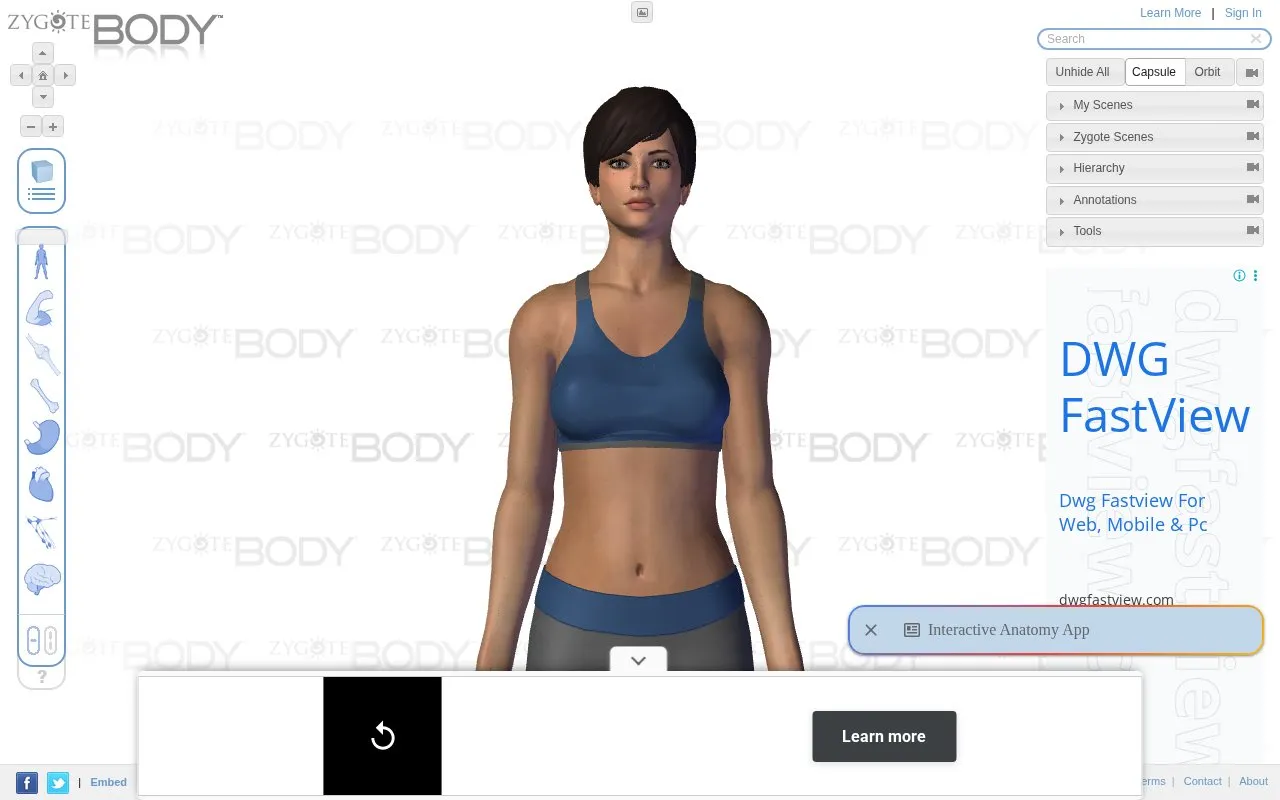 Zygote Body homepage screenshot