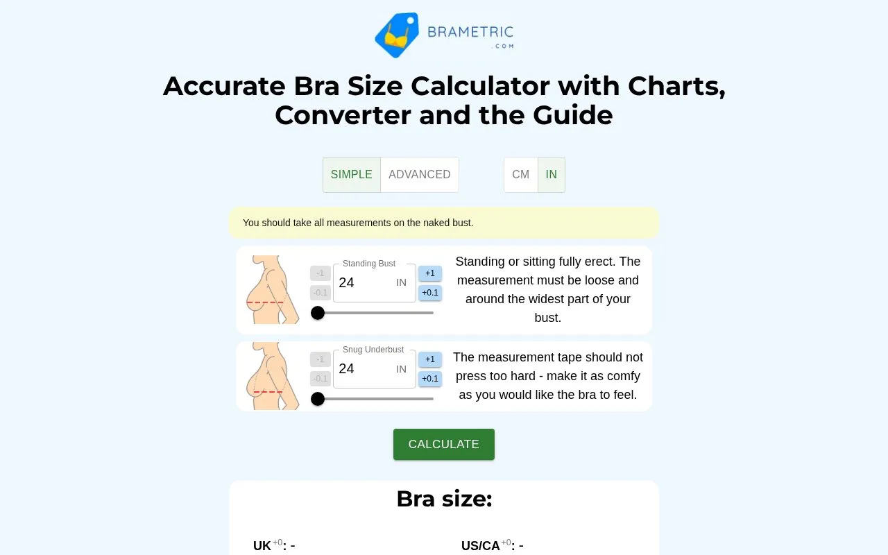 BraMetric homepage screenshot