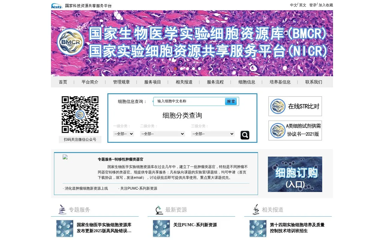 National Infrastructure of Cell line Resources BMCR homepage screenshot