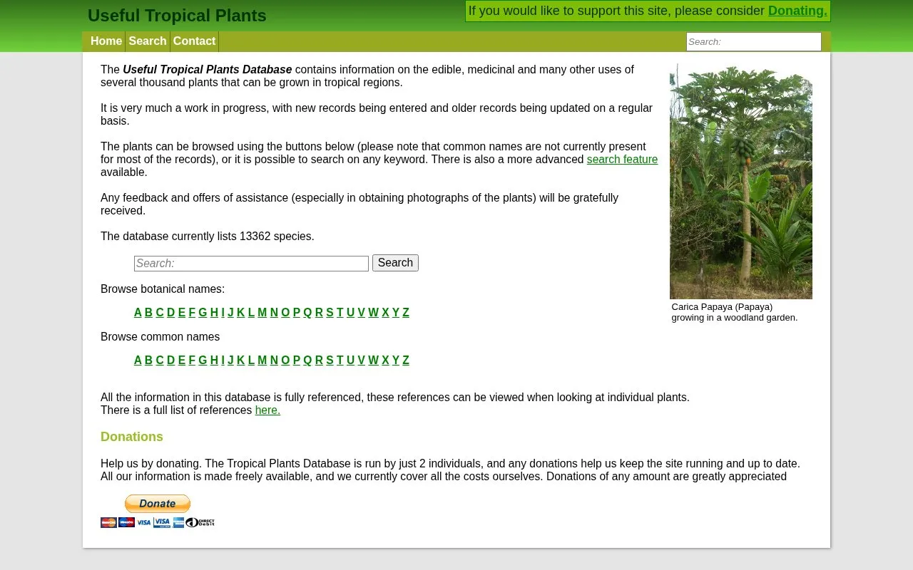 The Ferns homepage screenshot
