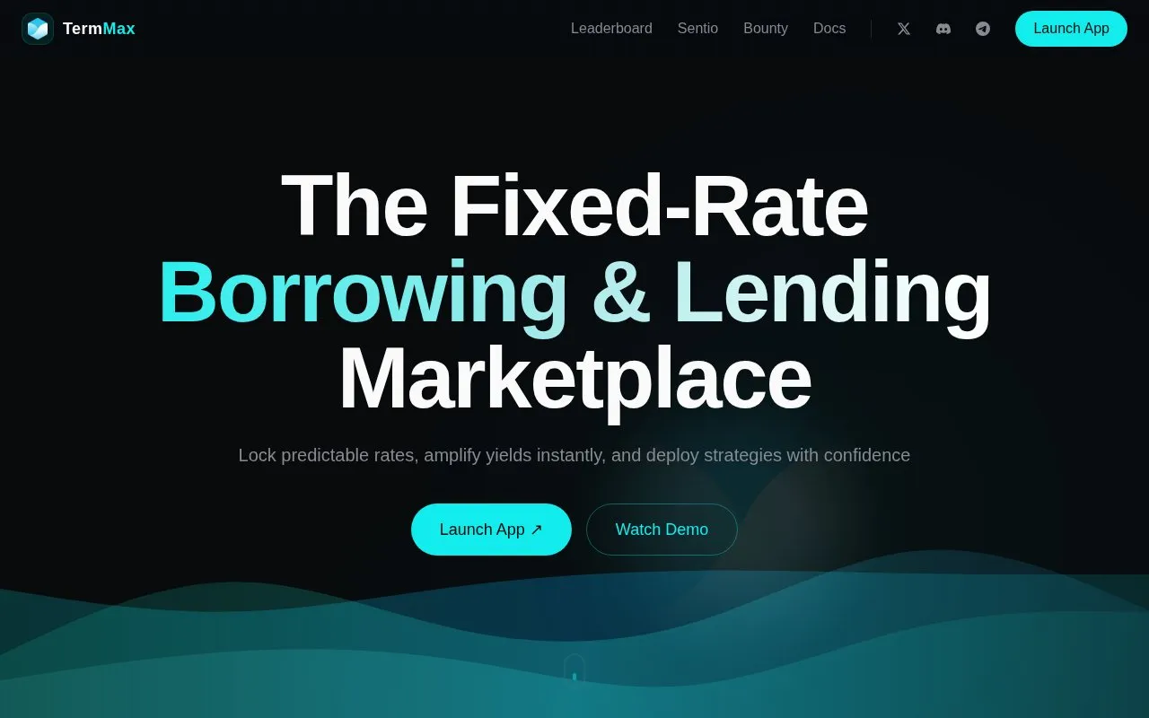 TermMax homepage screenshot