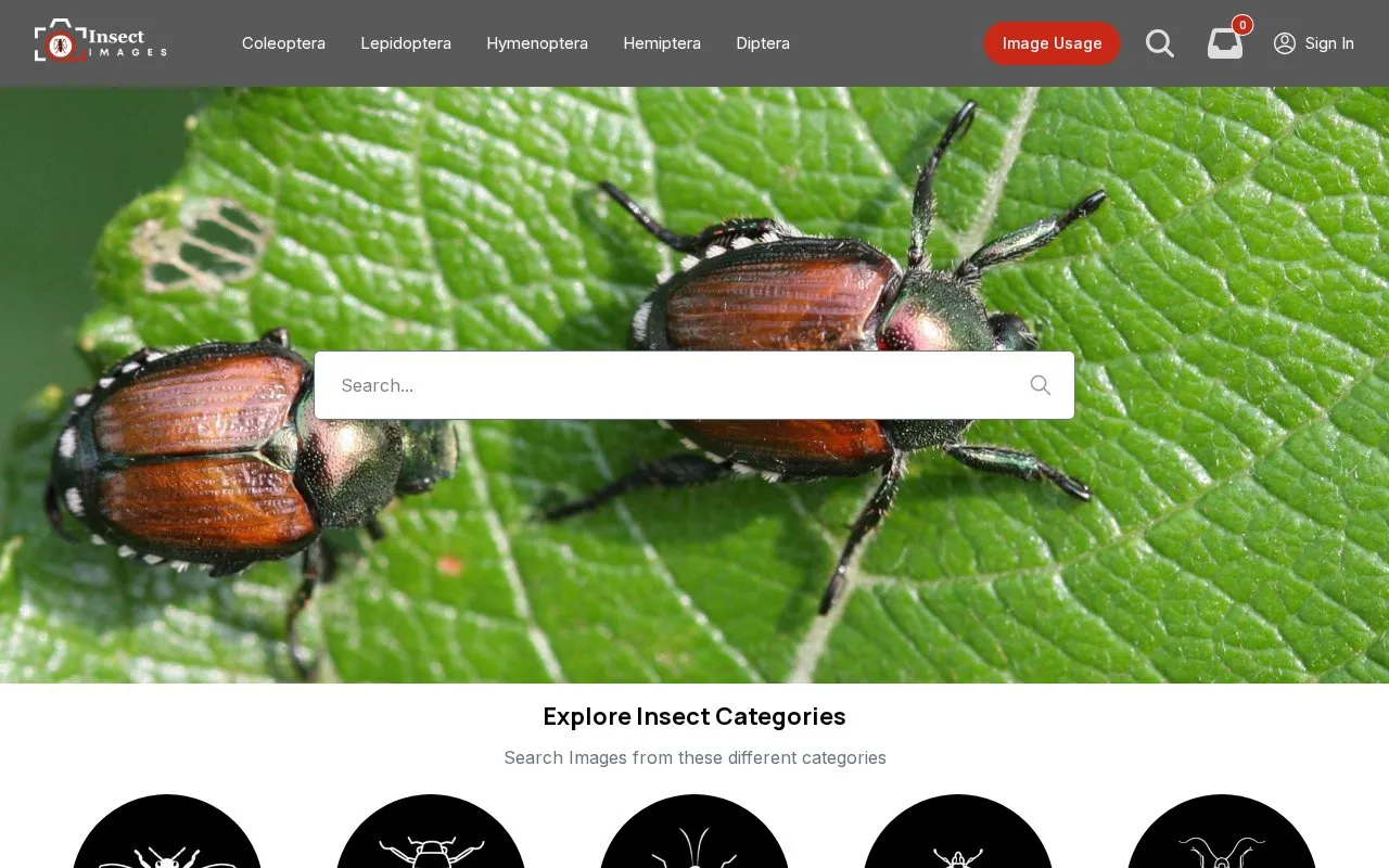 Insect Images homepage screenshot