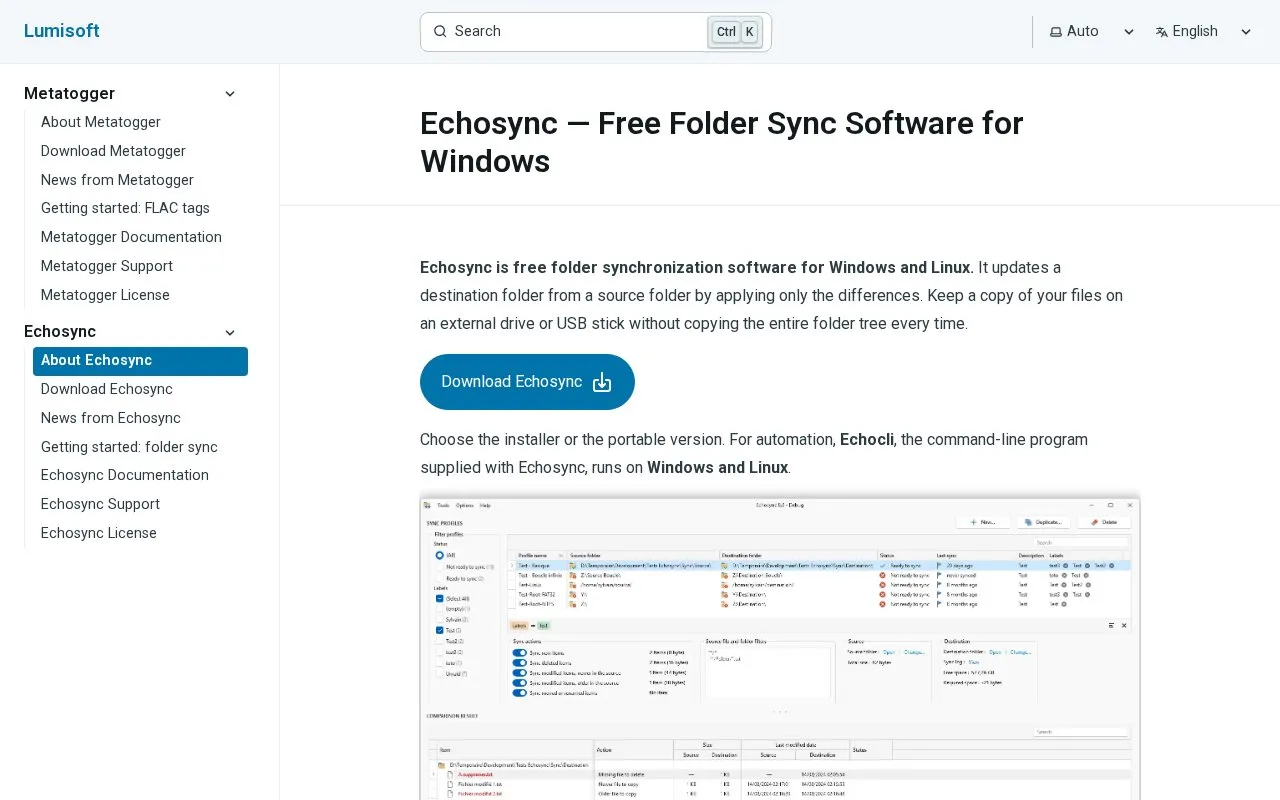 Echosync homepage screenshot