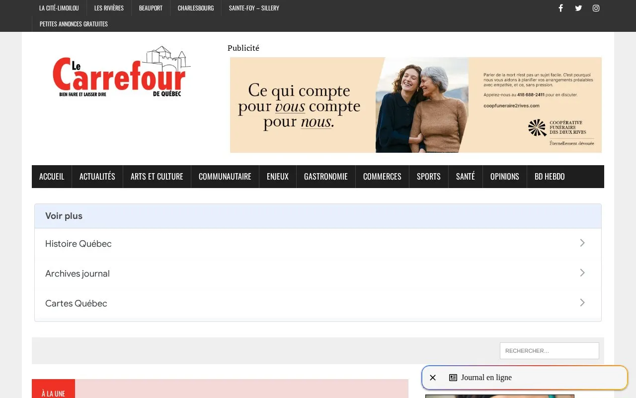 Carrefour homepage screenshot