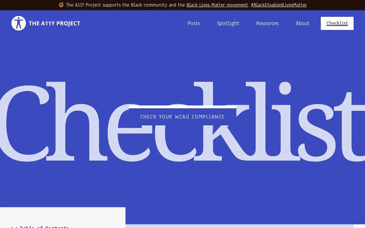 A11Project homepage screenshot
