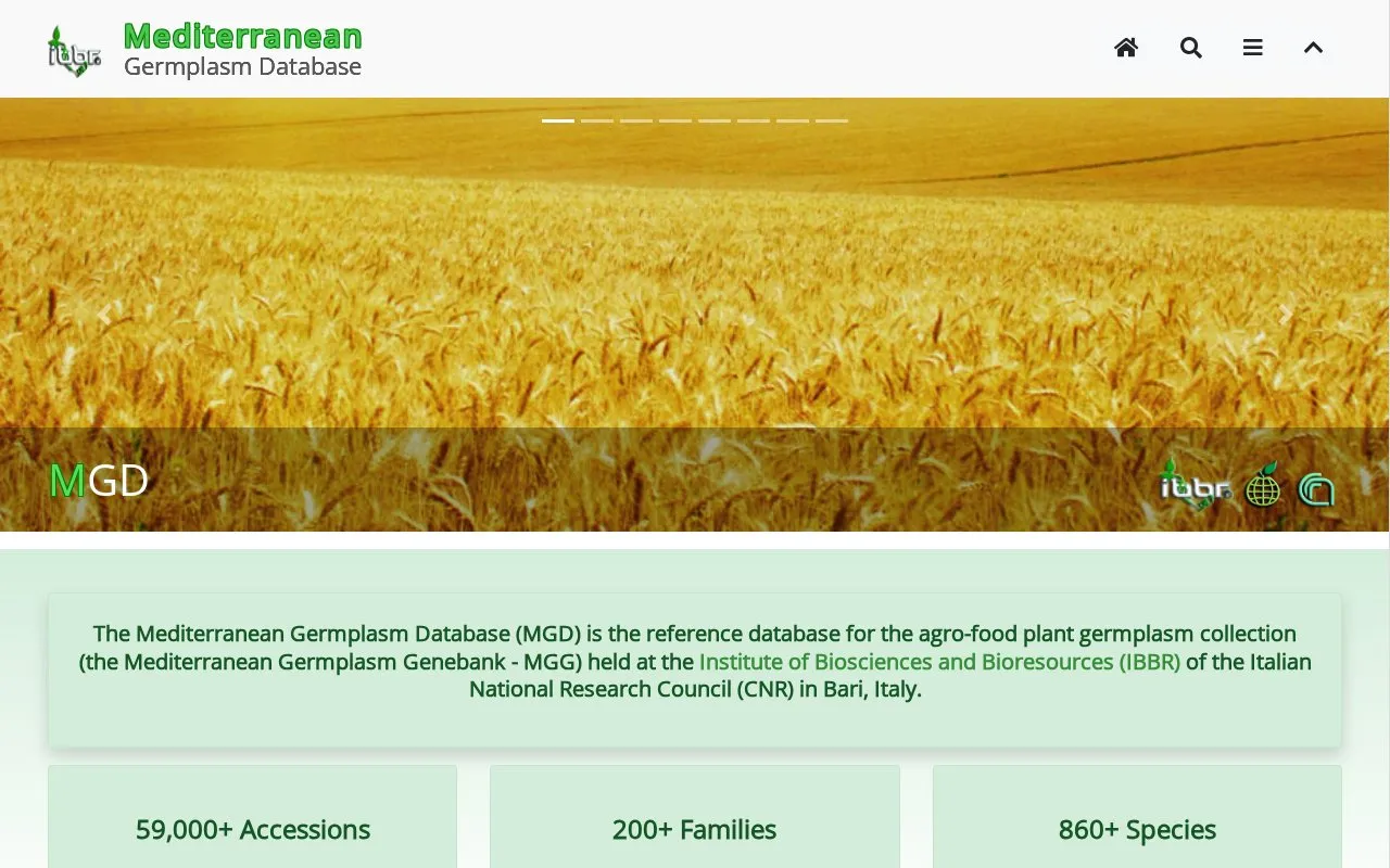 Mediterranean Germplasm Database (MGD) homepage screenshot