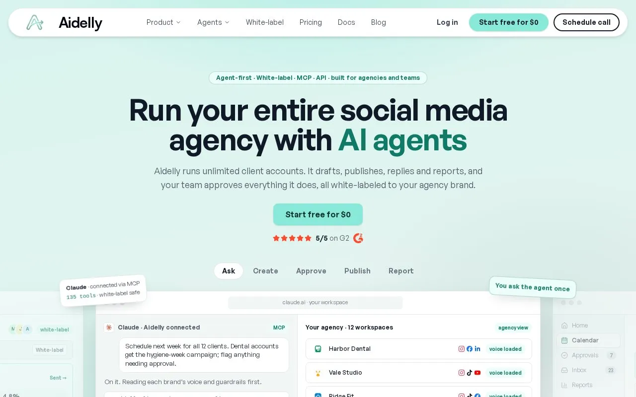 Aidelly homepage screenshot