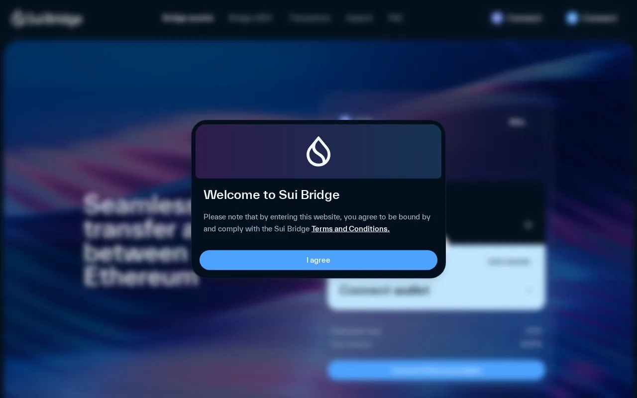 SuiBridge homepage screenshot