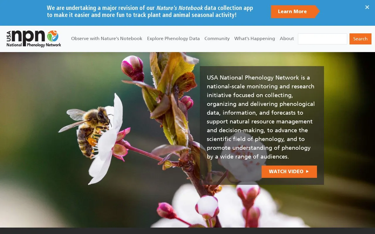 The USA National Phenology Network homepage screenshot