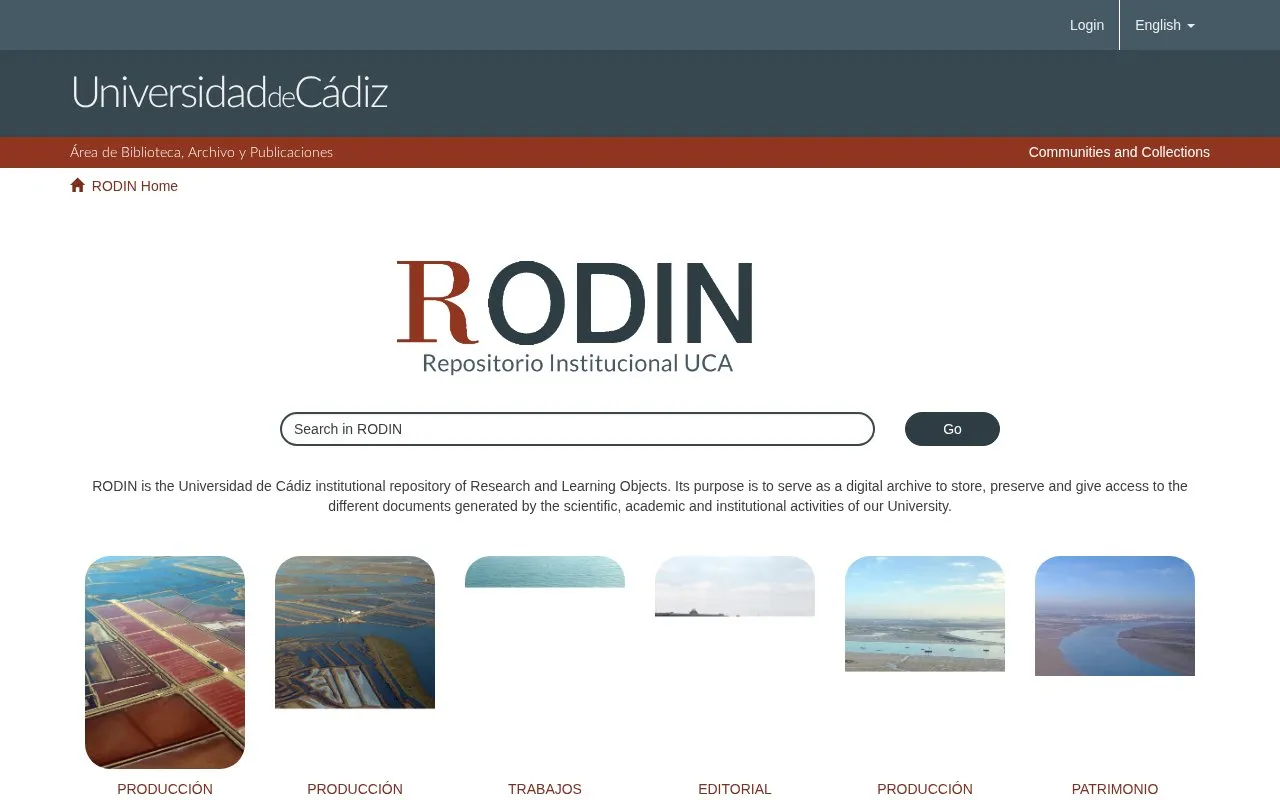 RODIN homepage screenshot