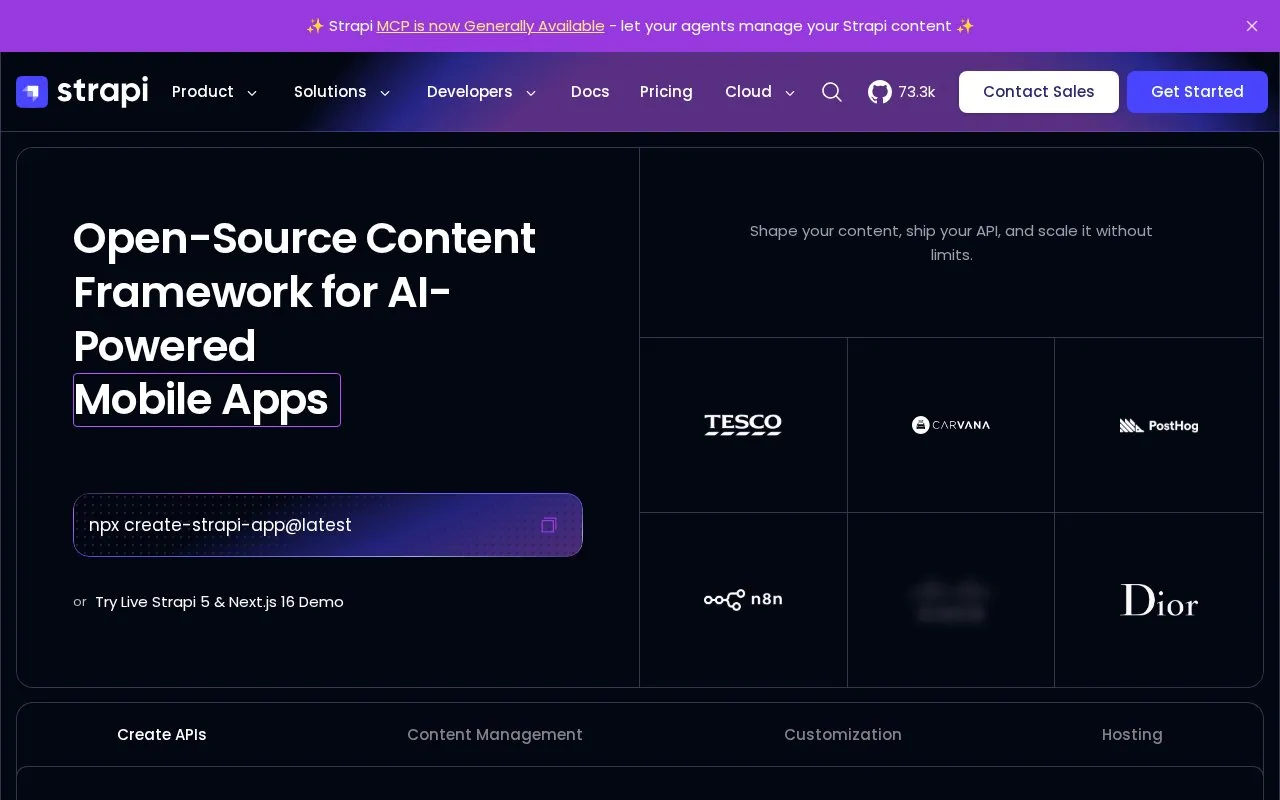 Strapi homepage screenshot