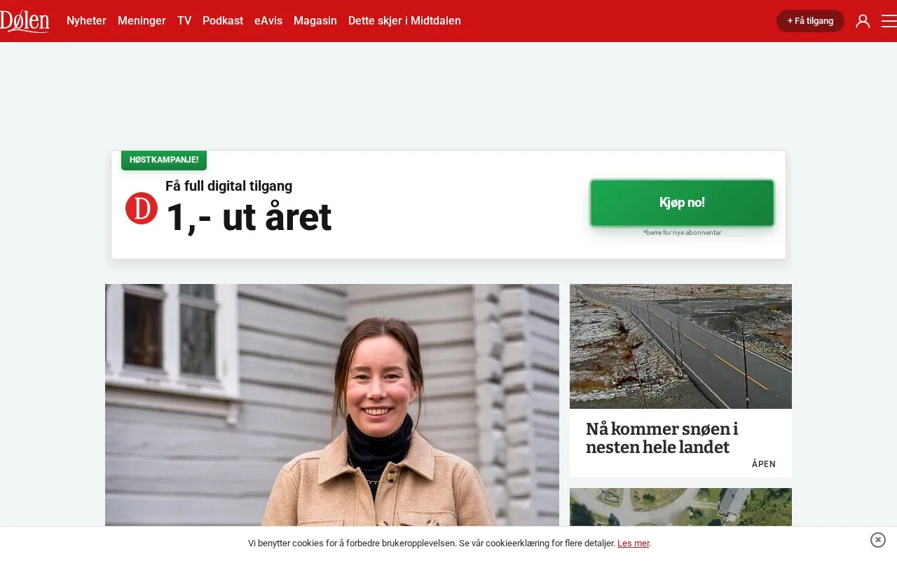 Dølen homepage screenshot