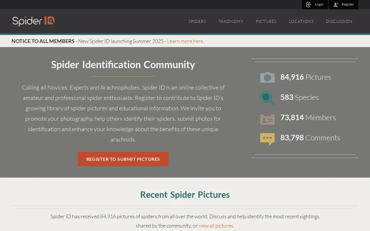 Spider ID homepage screenshot