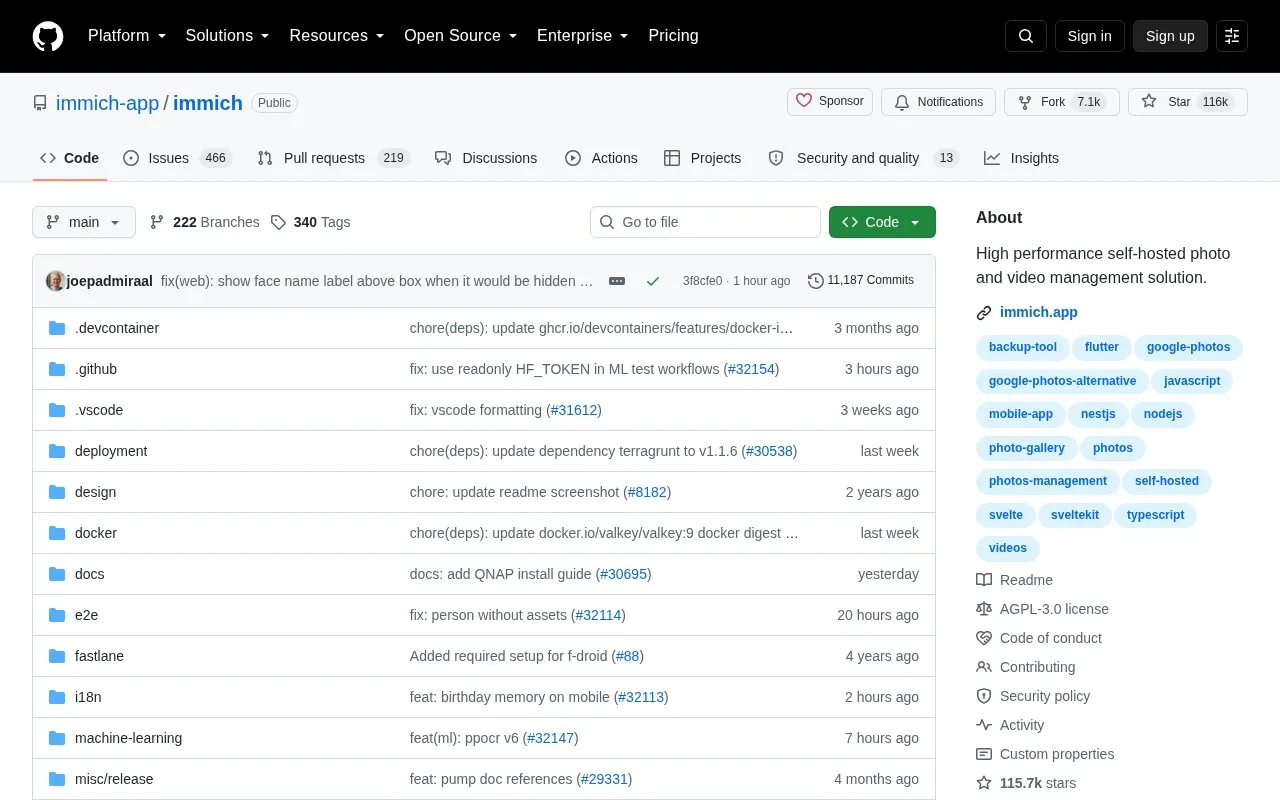Immich homepage screenshot