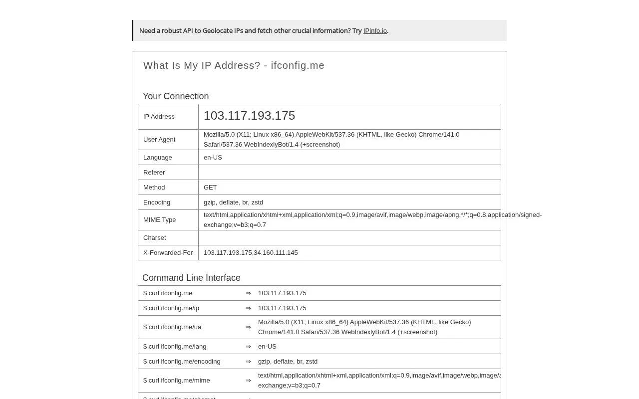 IP Lookup homepage screenshot