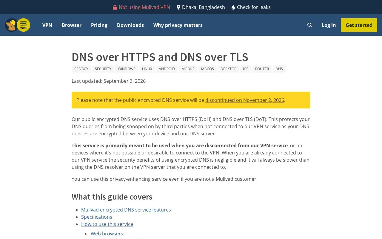 Mullvad DNS homepage screenshot