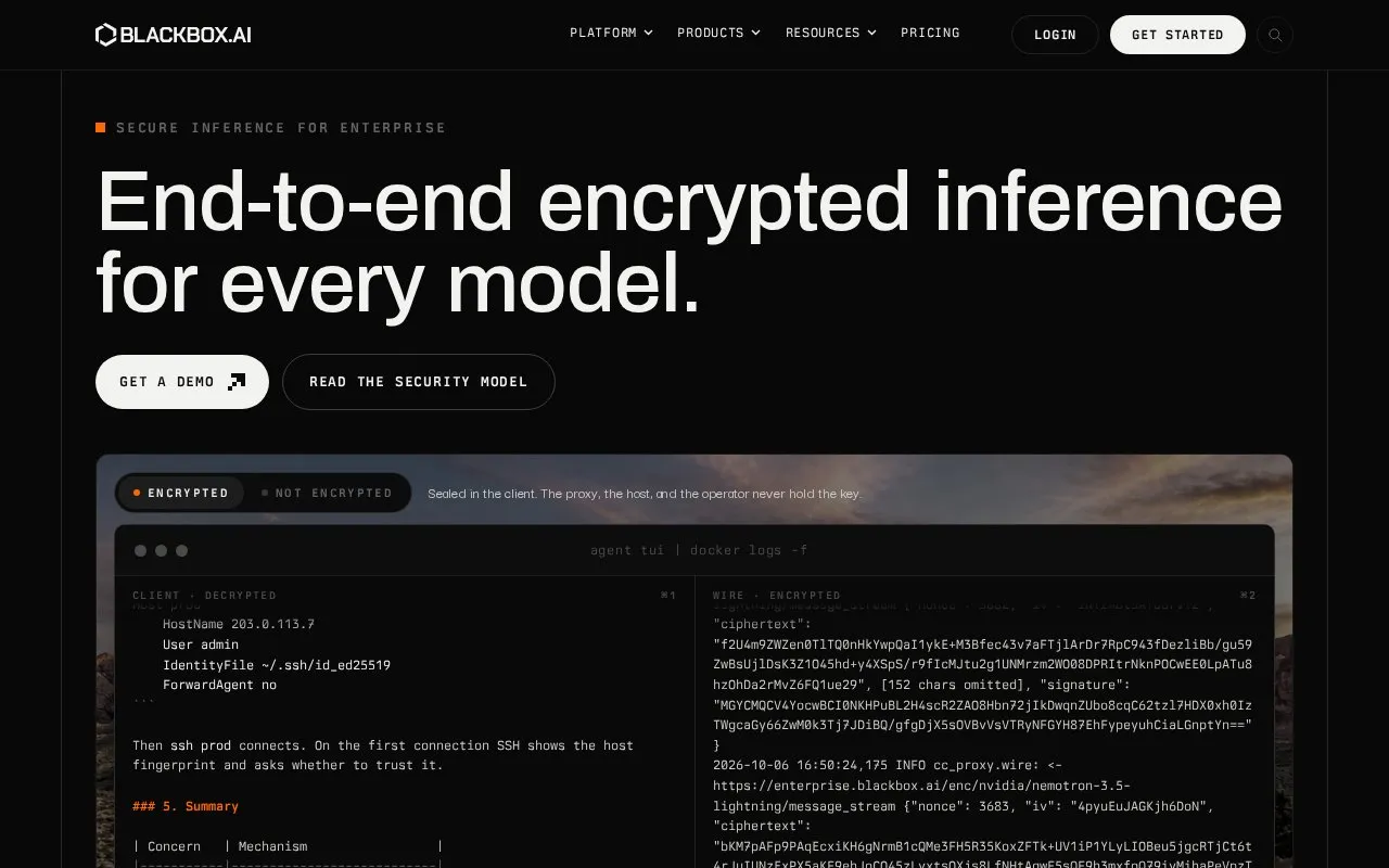 BLACKBOX AI homepage screenshot