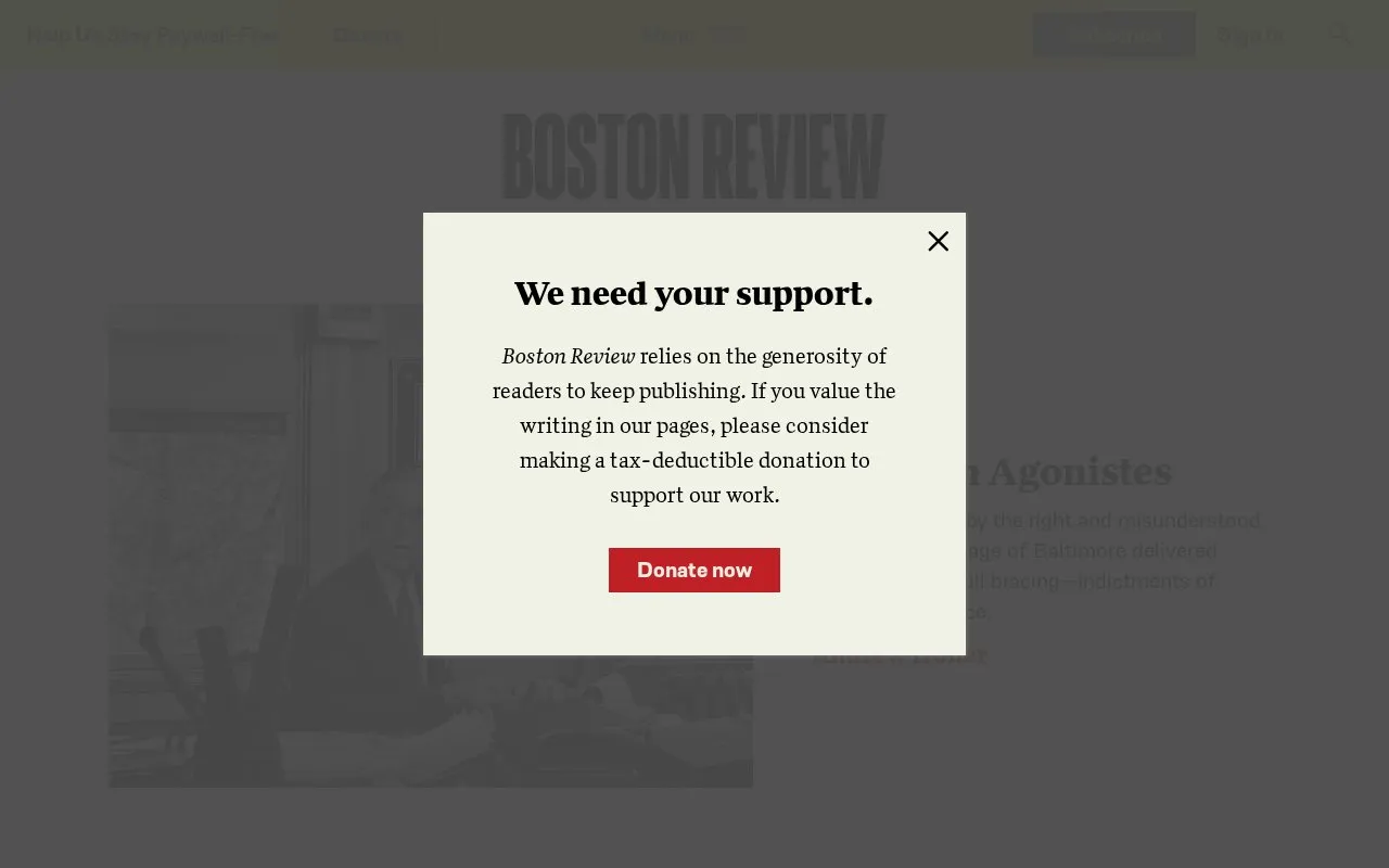 Boston Review homepage screenshot