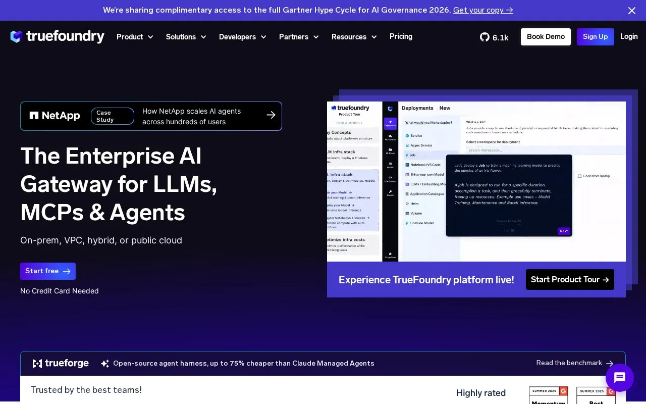 TrueFoundry homepage screenshot