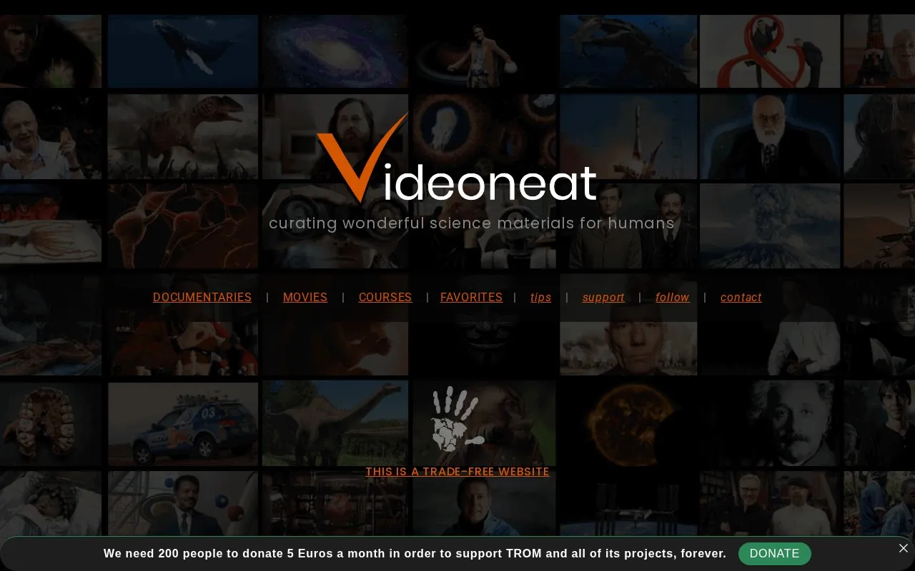 VideoNeat homepage screenshot