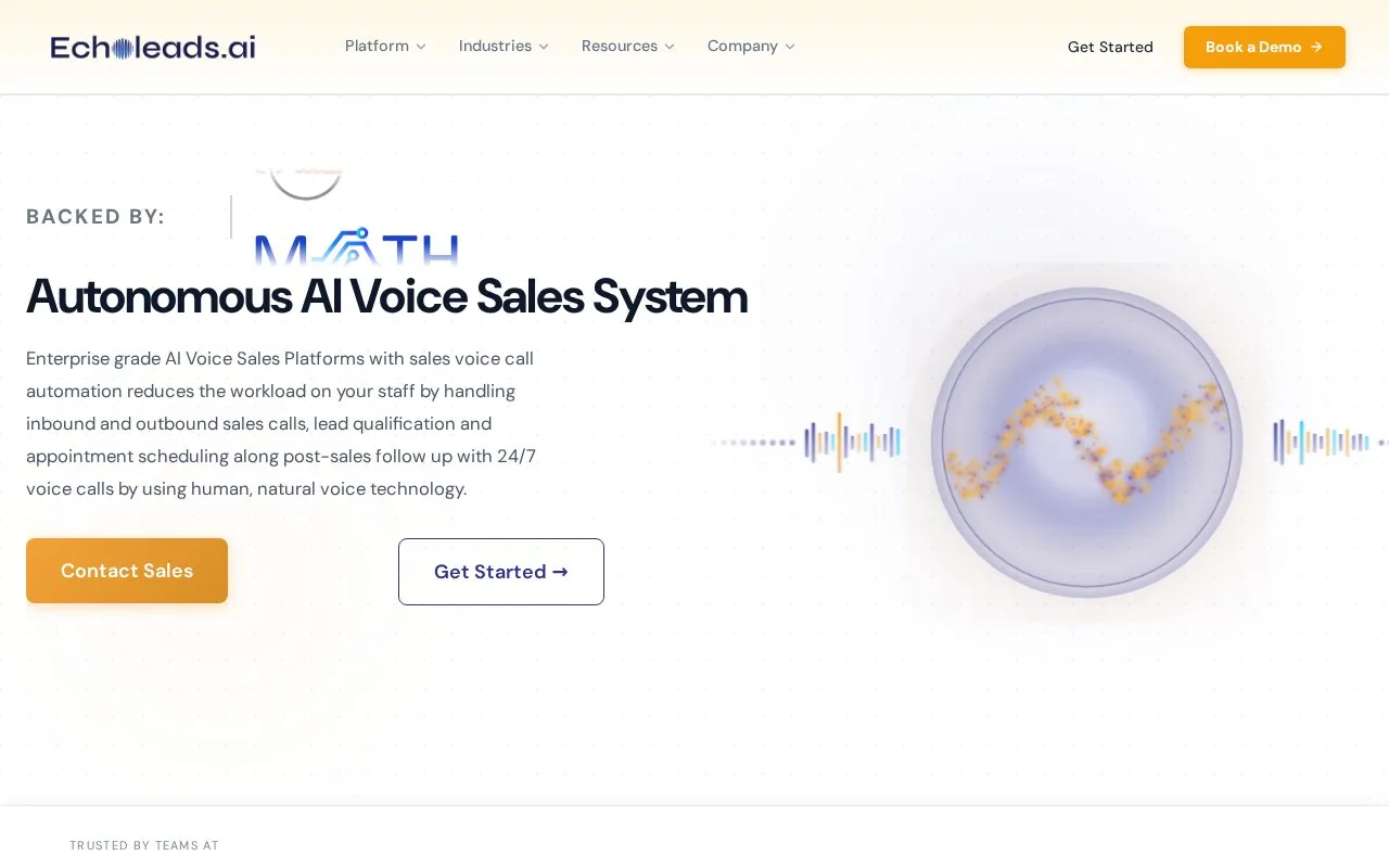 EchoLeads homepage screenshot