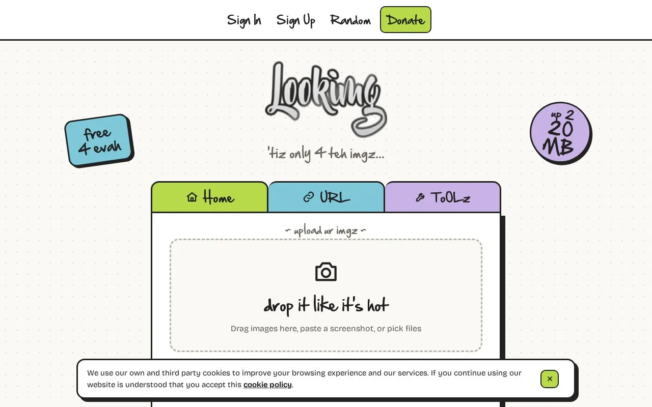 lookimg homepage screenshot