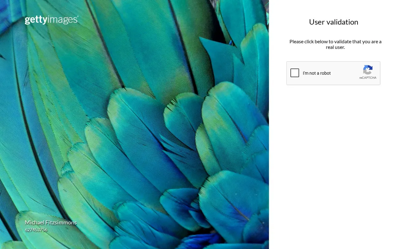 Getty Images homepage screenshot