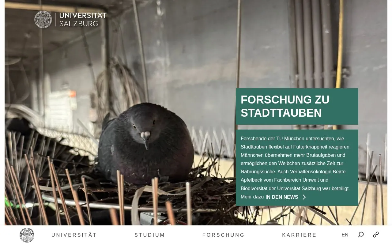 Universitat Salzburg homepage screenshot