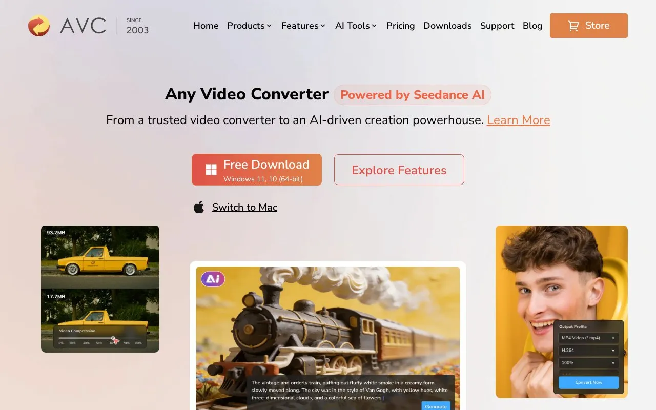 Any Video Converter homepage screenshot