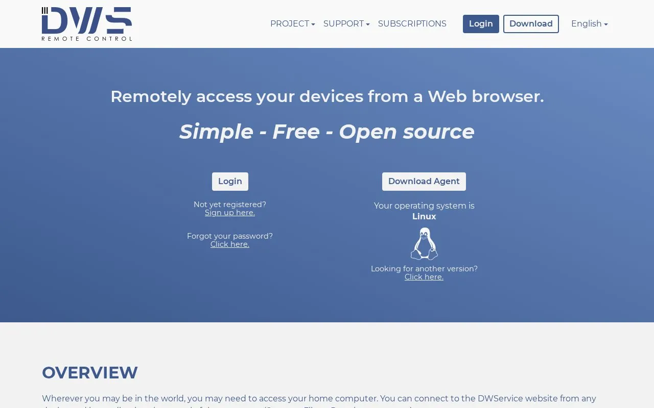 DWService homepage screenshot